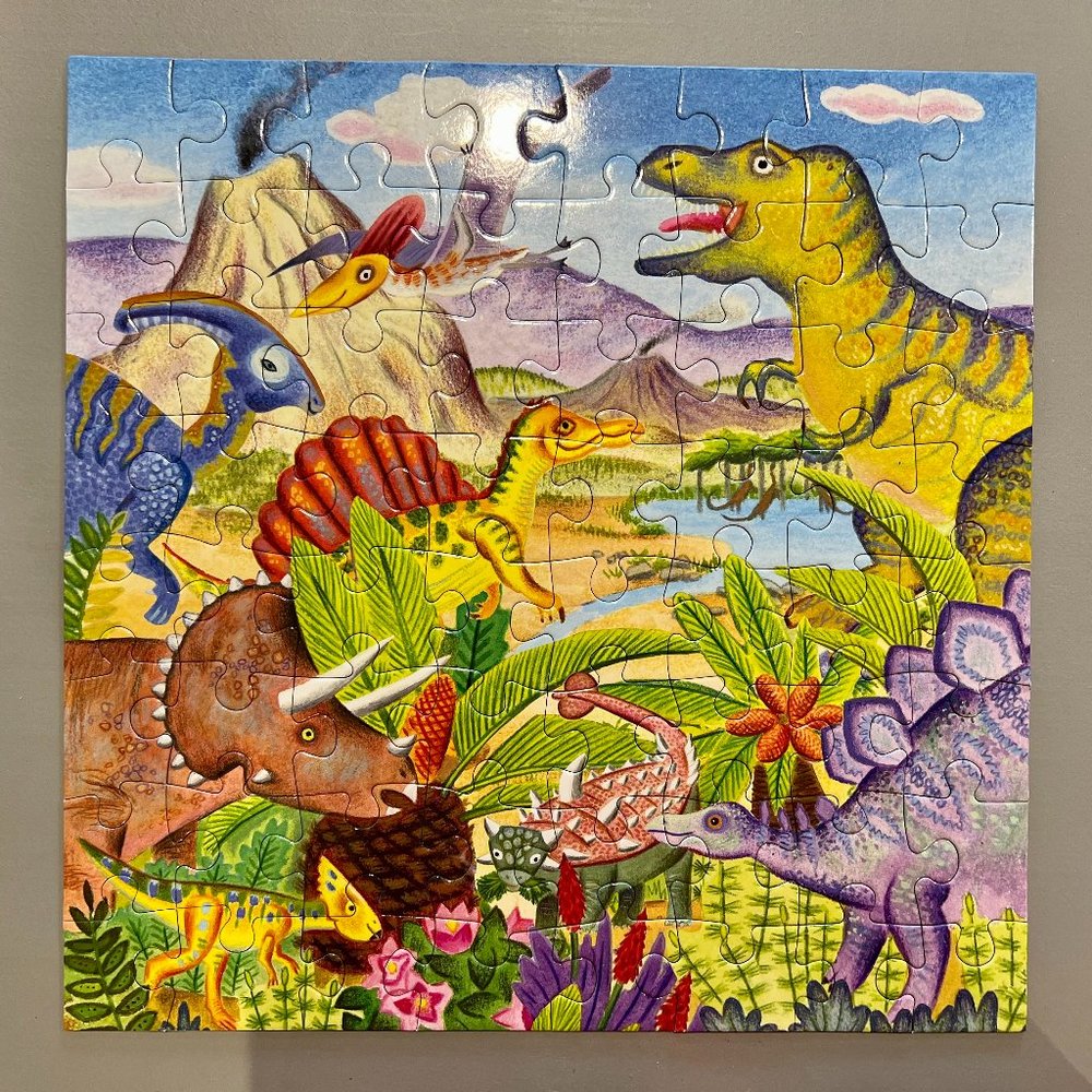 FIRM! Two-sided Dinosaur Puzzle 64 Pc.